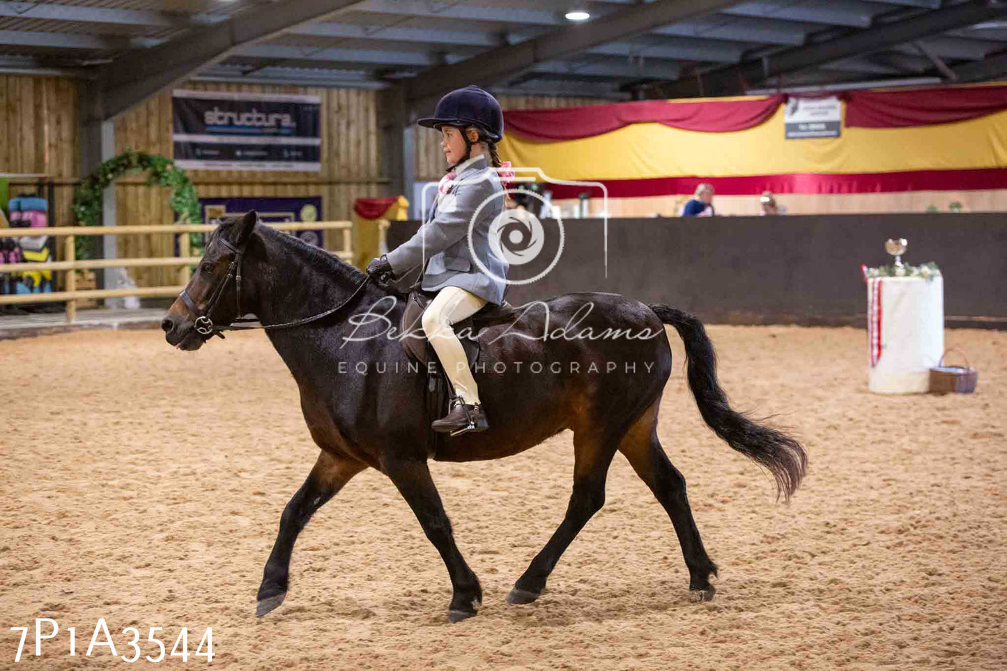 Home Farm Funshine Show 2024 - Ridden Showing 15th September