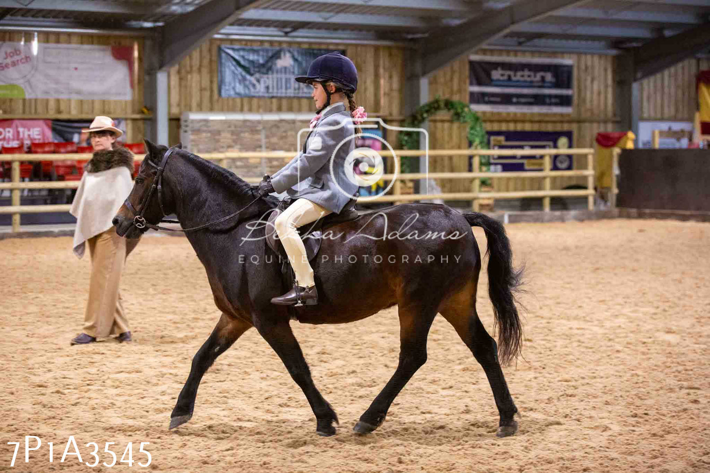 Home Farm Funshine Show 2024 - Ridden Showing 15th September