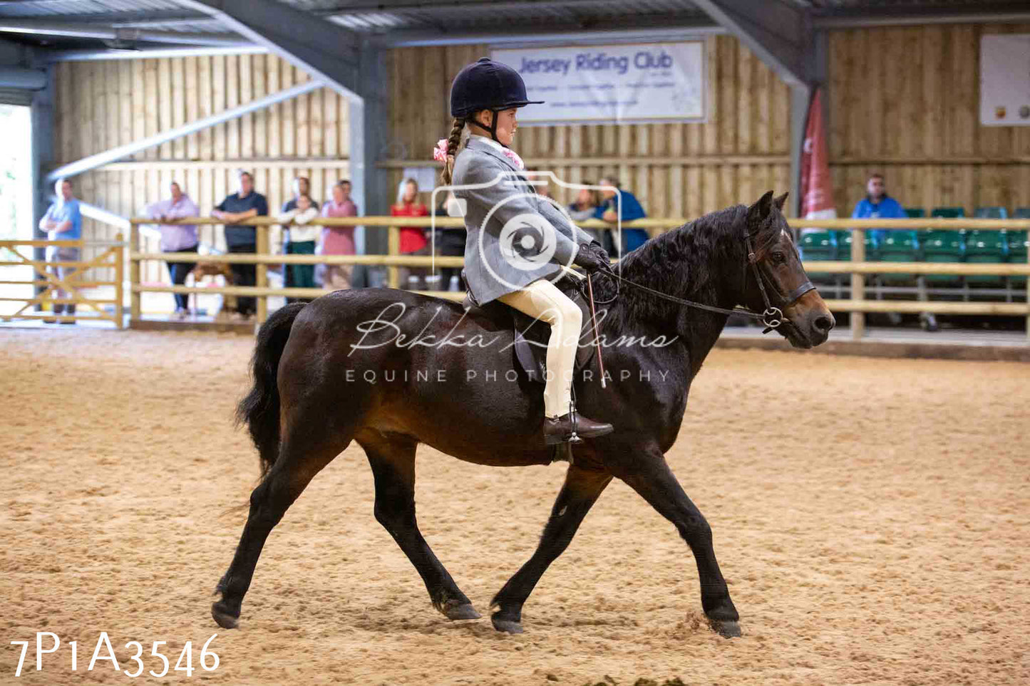 Home Farm Funshine Show 2024 - Ridden Showing 15th September