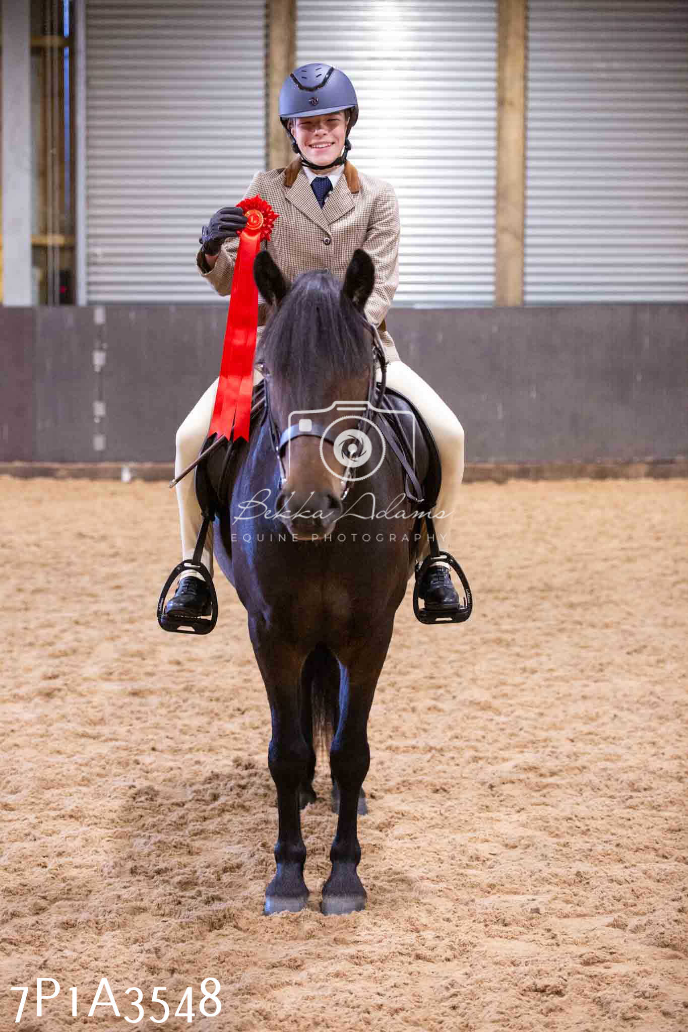 Home Farm Funshine Show 2024 - Ridden Showing 15th September