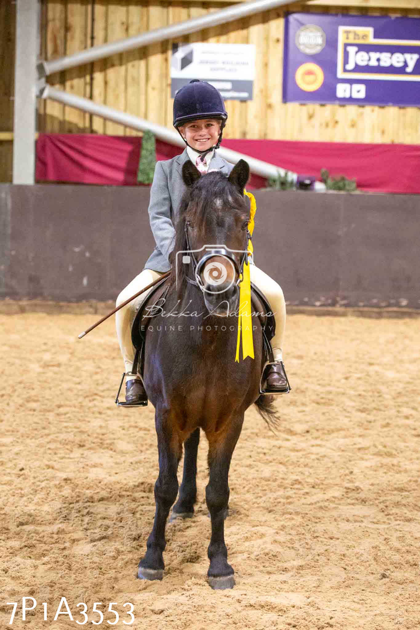 Home Farm Funshine Show 2024 - Ridden Showing 15th September