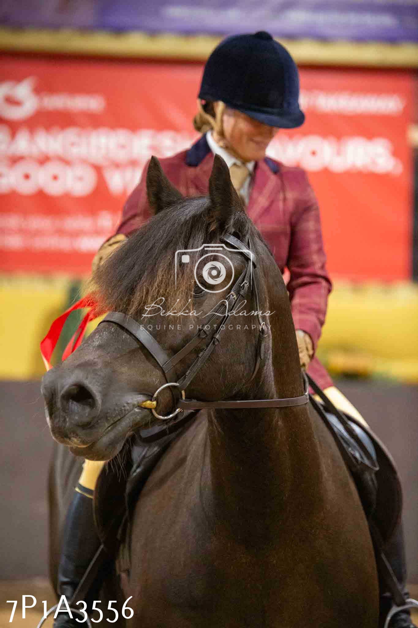 Home Farm Funshine Show 2024 - Ridden Showing 15th September