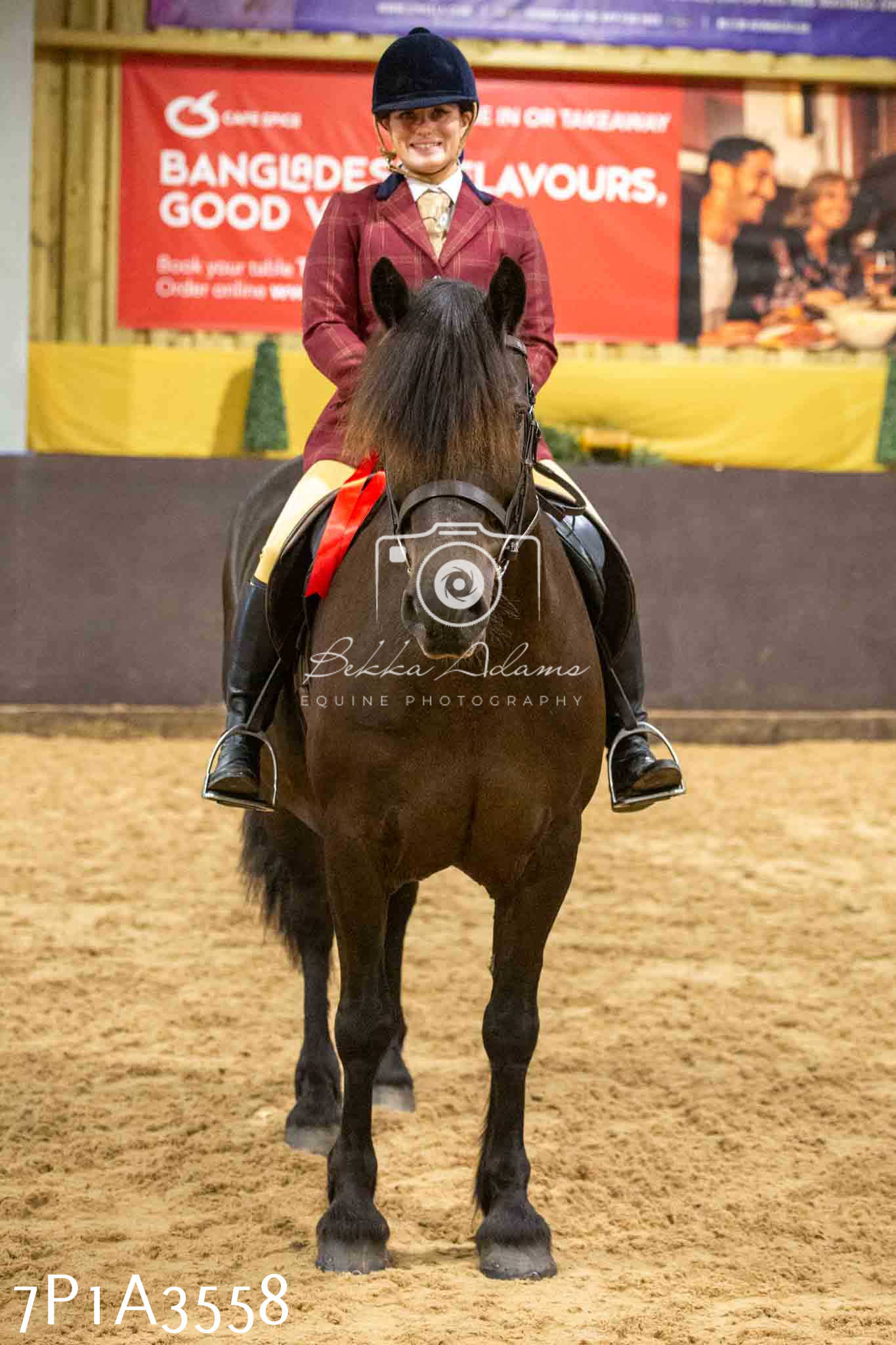 Home Farm Funshine Show 2024 - Ridden Showing 15th September