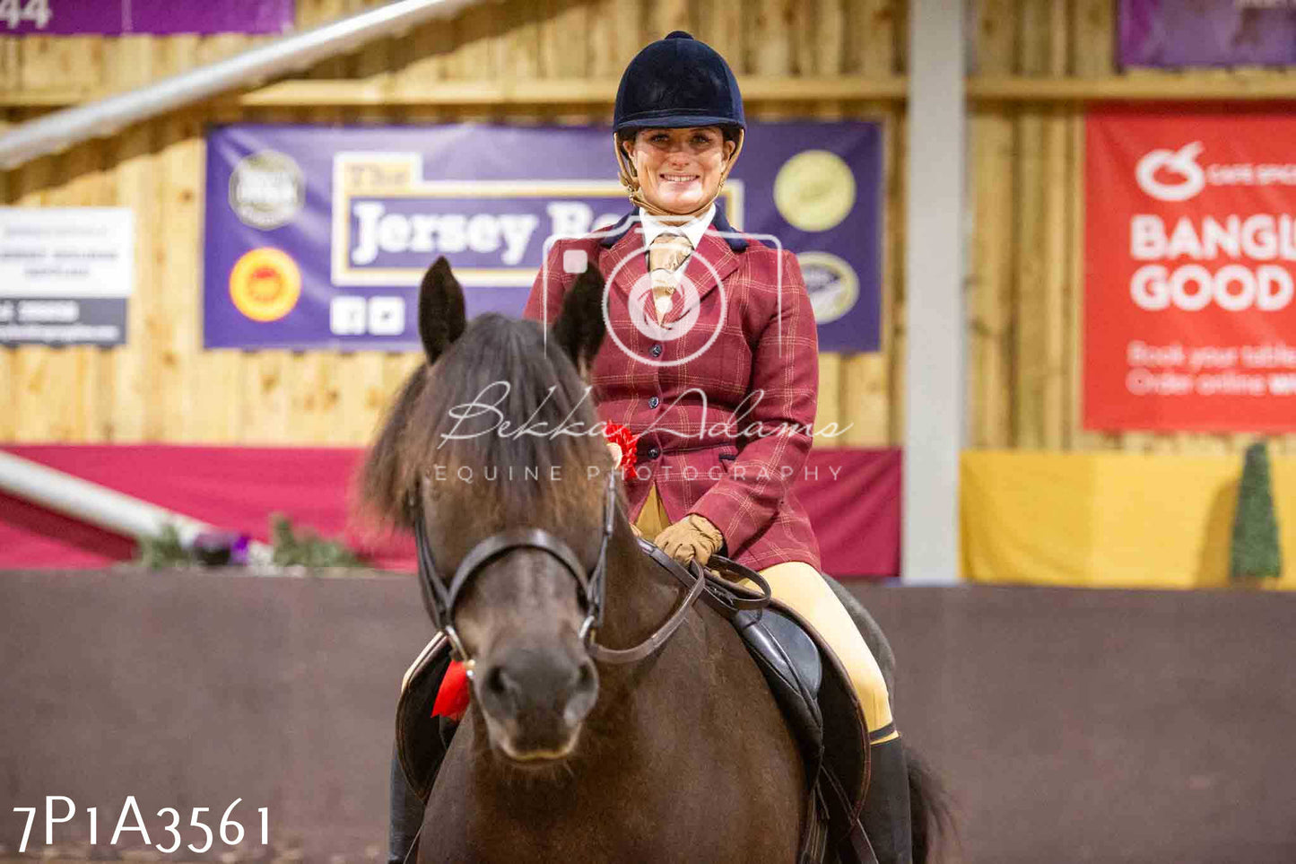 Home Farm Funshine Show 2024 - Ridden Showing 15th September