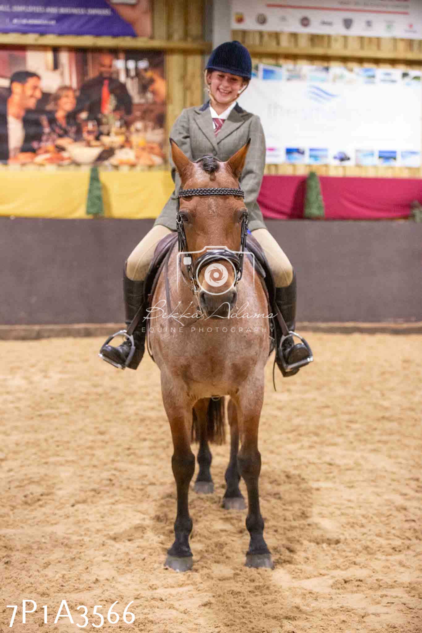 Home Farm Funshine Show 2024 - Ridden Showing 15th September