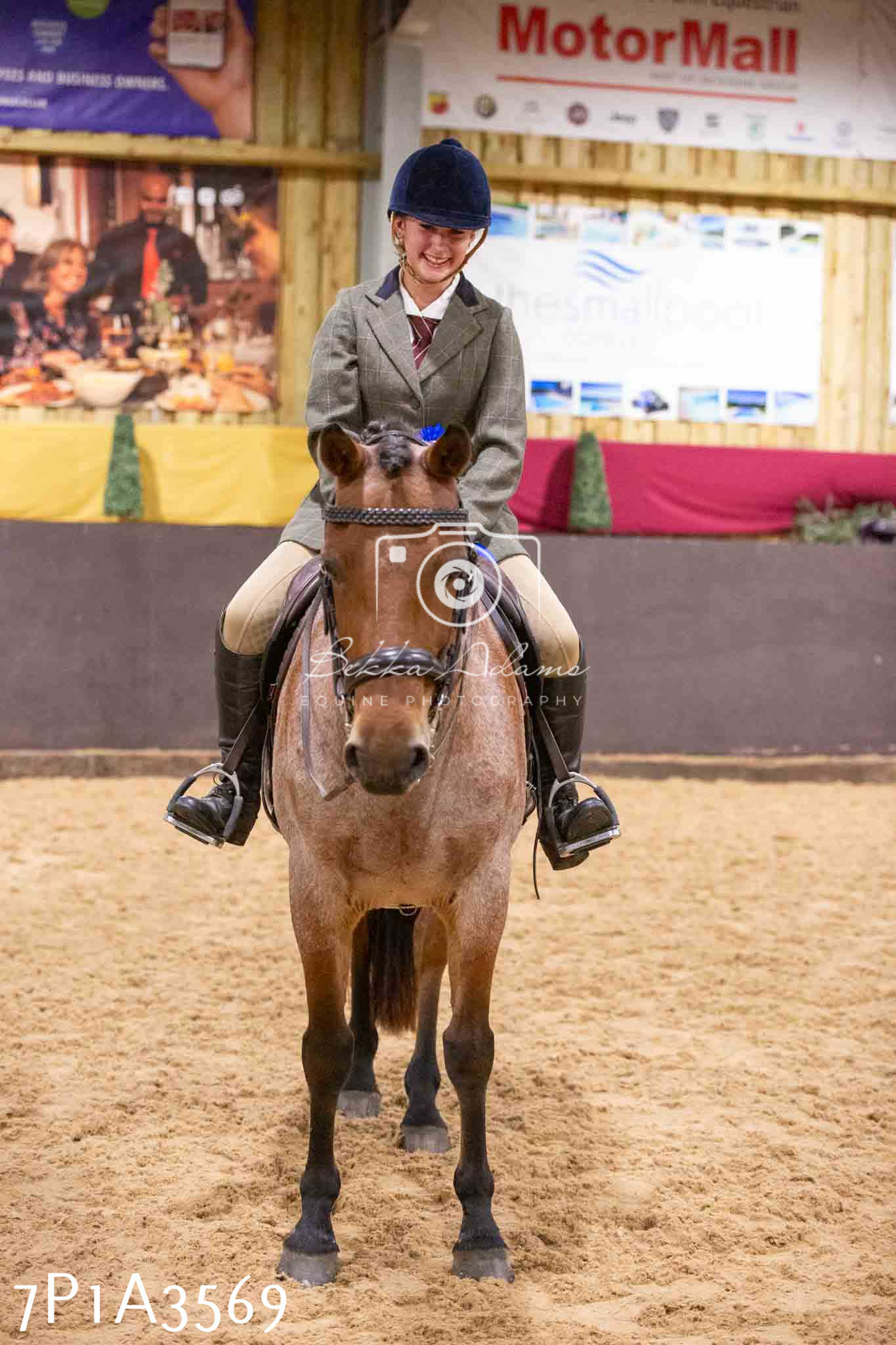 Home Farm Funshine Show 2024 - Ridden Showing 15th September