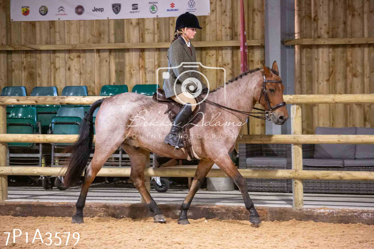 Home Farm Funshine Show 2024 - Ridden Showing 15th September