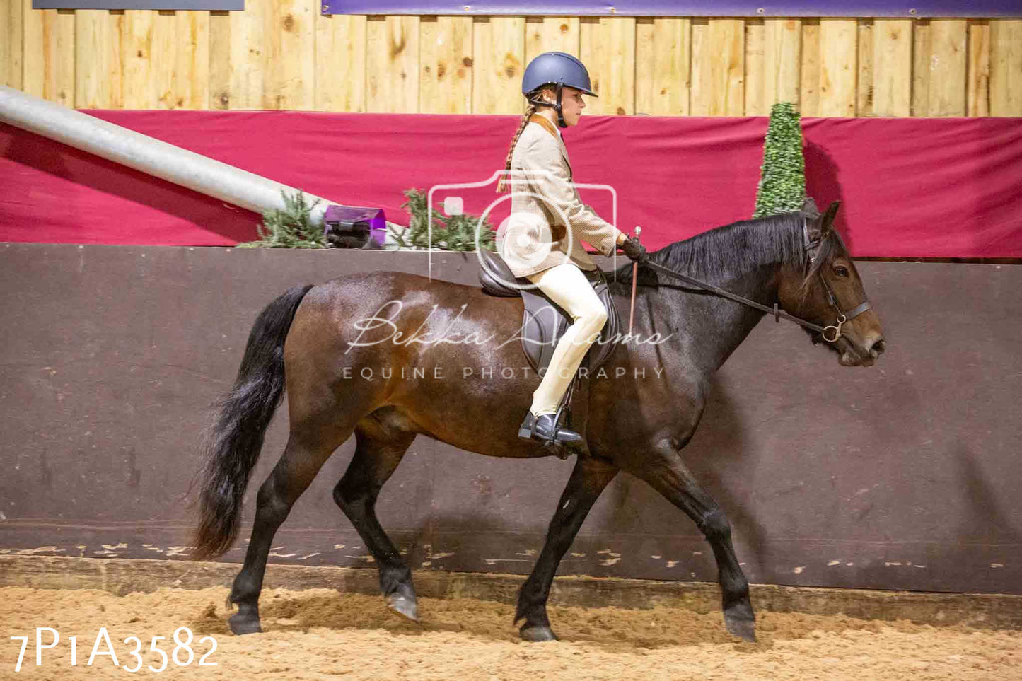 Home Farm Funshine Show 2024 - Ridden Showing 15th September