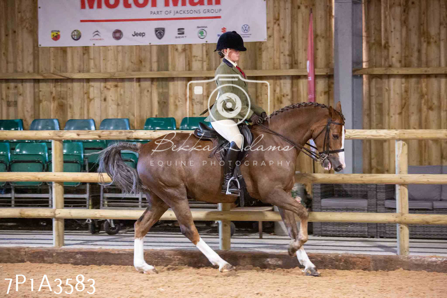 Home Farm Funshine Show 2024 - Ridden Showing 15th September