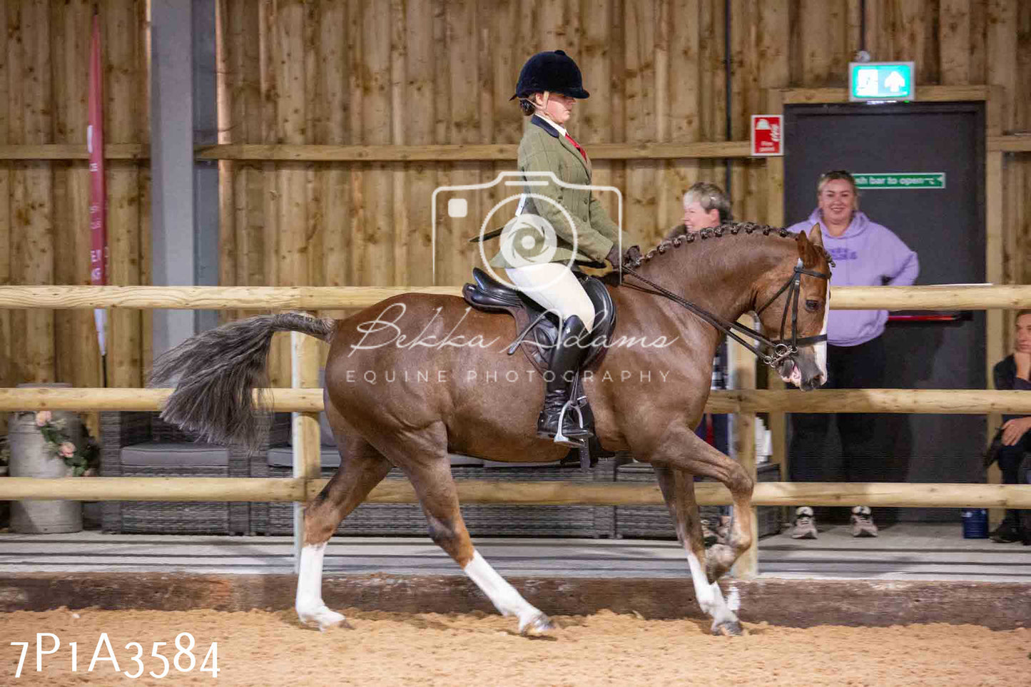 Home Farm Funshine Show 2024 - Ridden Showing 15th September