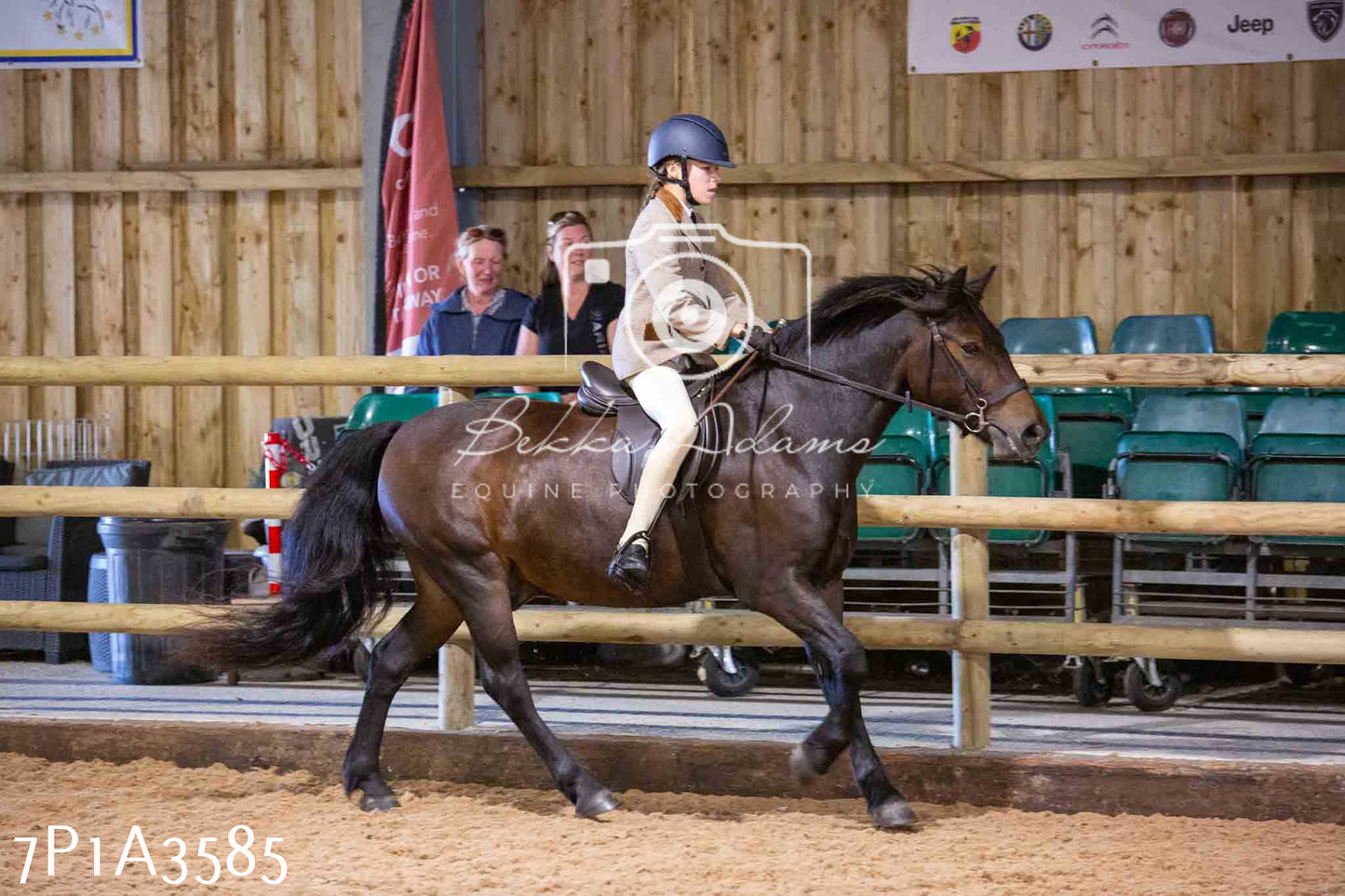 Home Farm Funshine Show 2024 - Ridden Showing 15th September