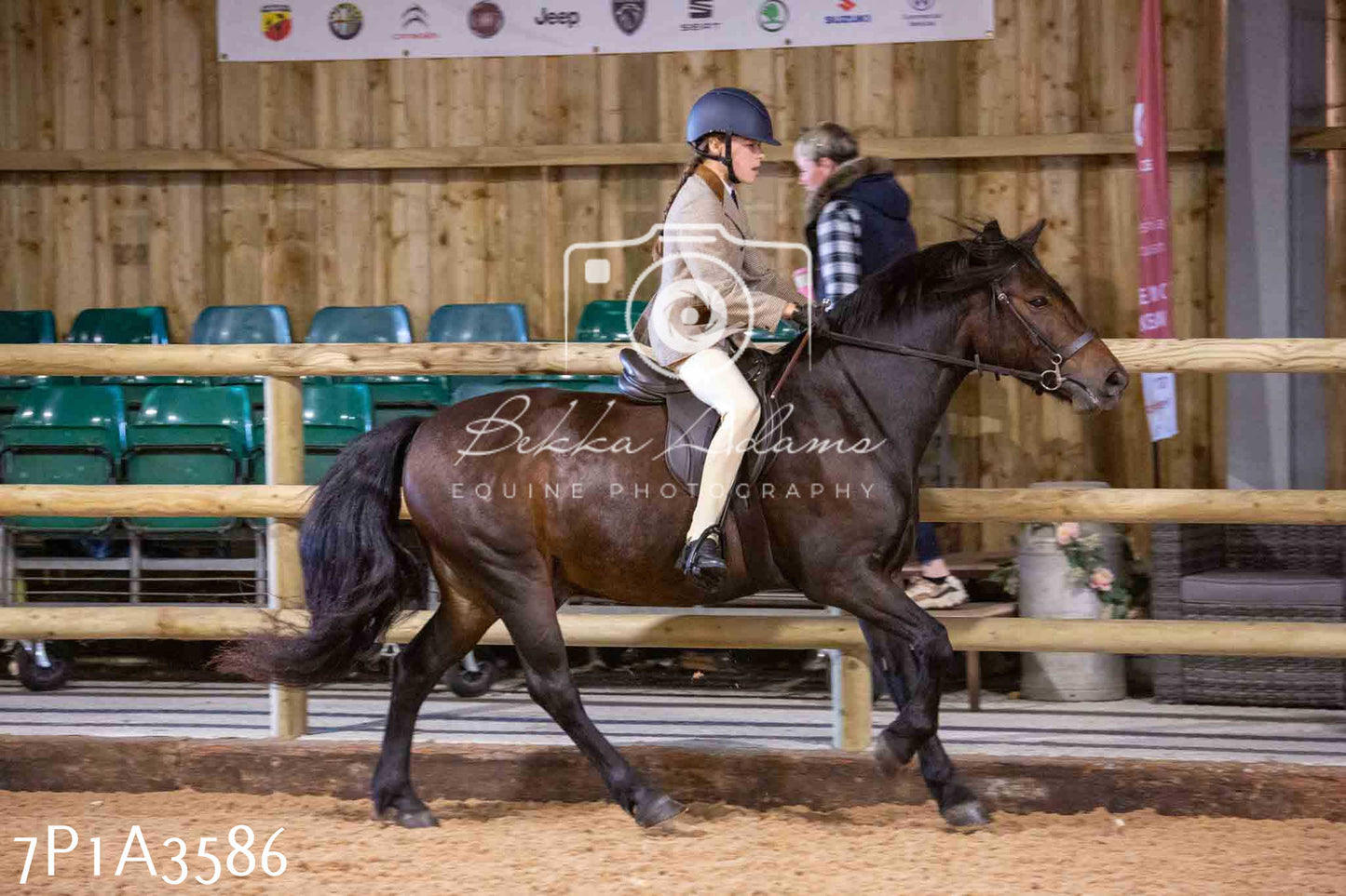 Home Farm Funshine Show 2024 - Ridden Showing 15th September