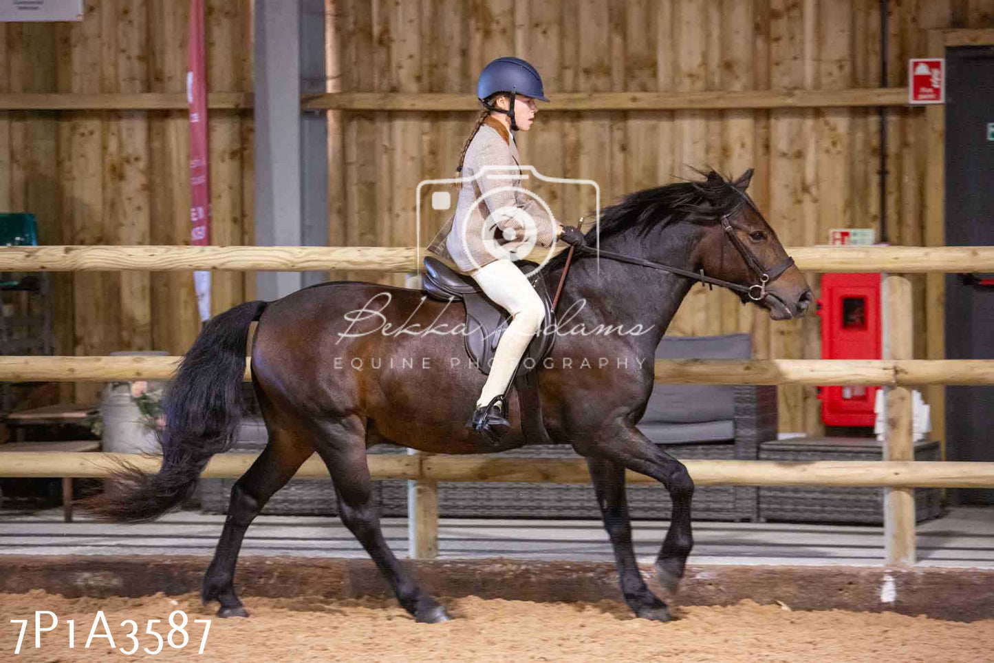 Home Farm Funshine Show 2024 - Ridden Showing 15th September