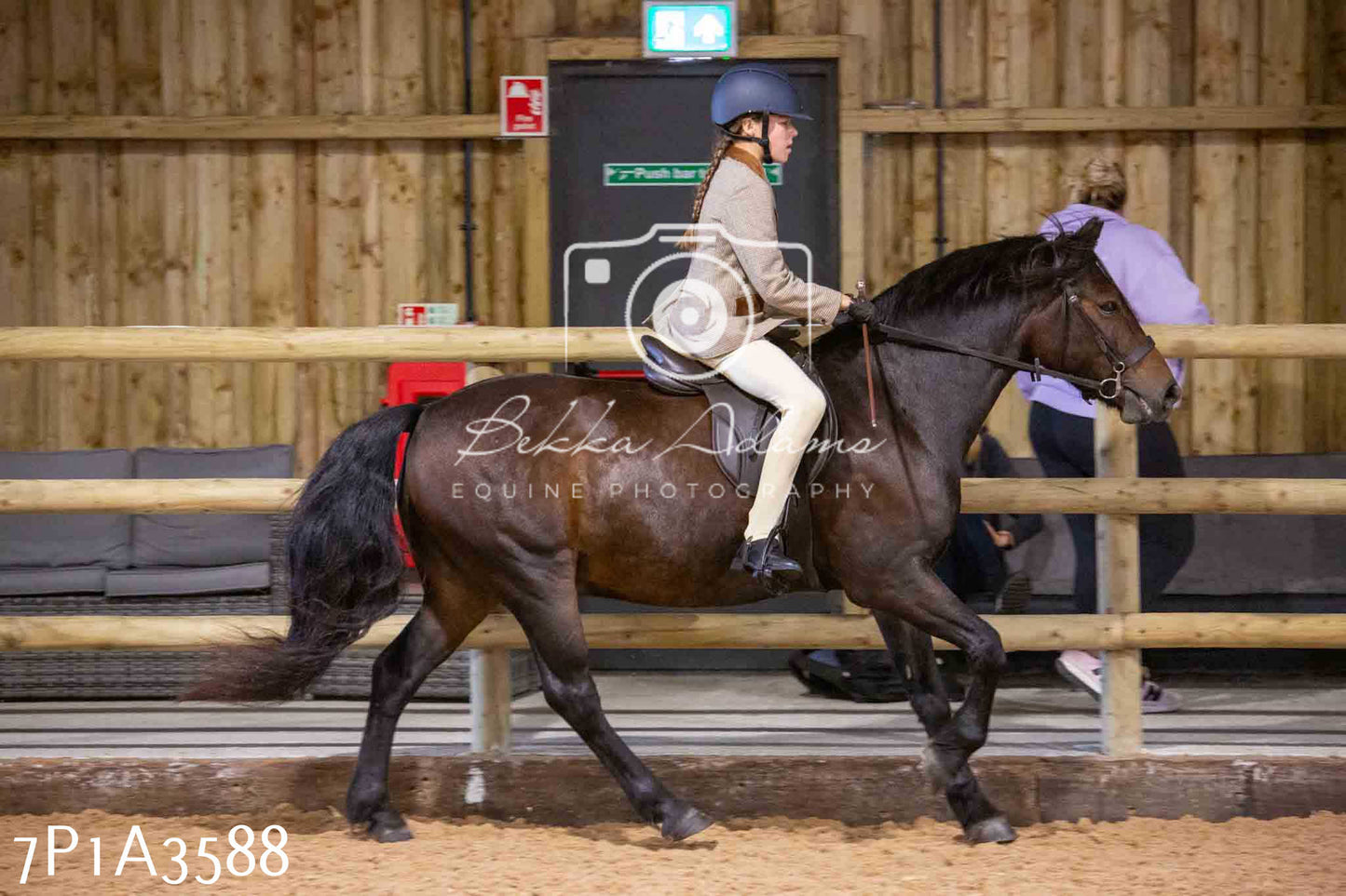 Home Farm Funshine Show 2024 - Ridden Showing 15th September