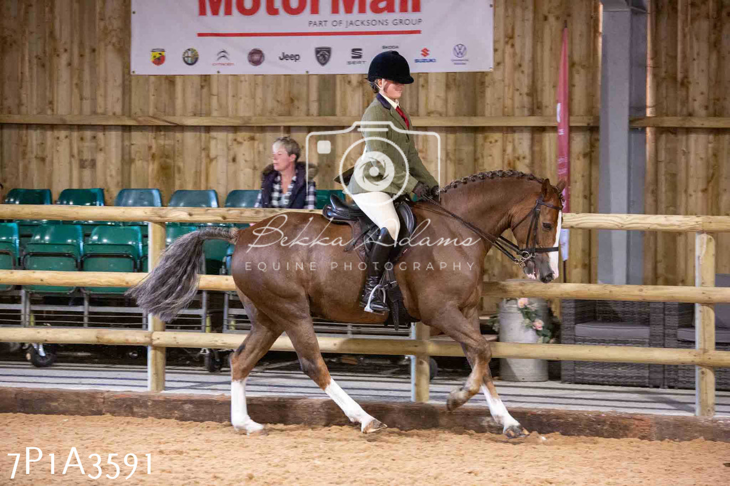 Home Farm Funshine Show 2024 - Ridden Showing 15th September