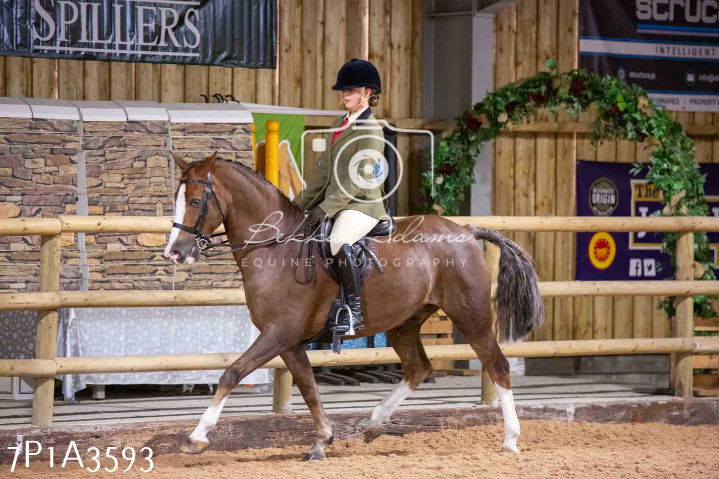 Home Farm Funshine Show 2024 - Ridden Showing 15th September