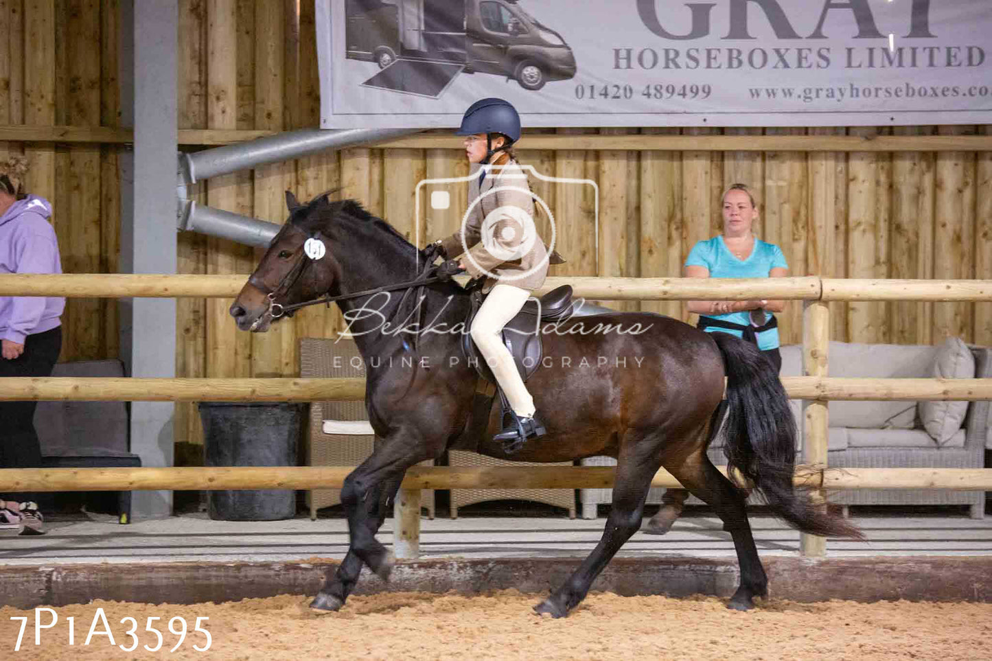 Home Farm Funshine Show 2024 - Ridden Showing 15th September