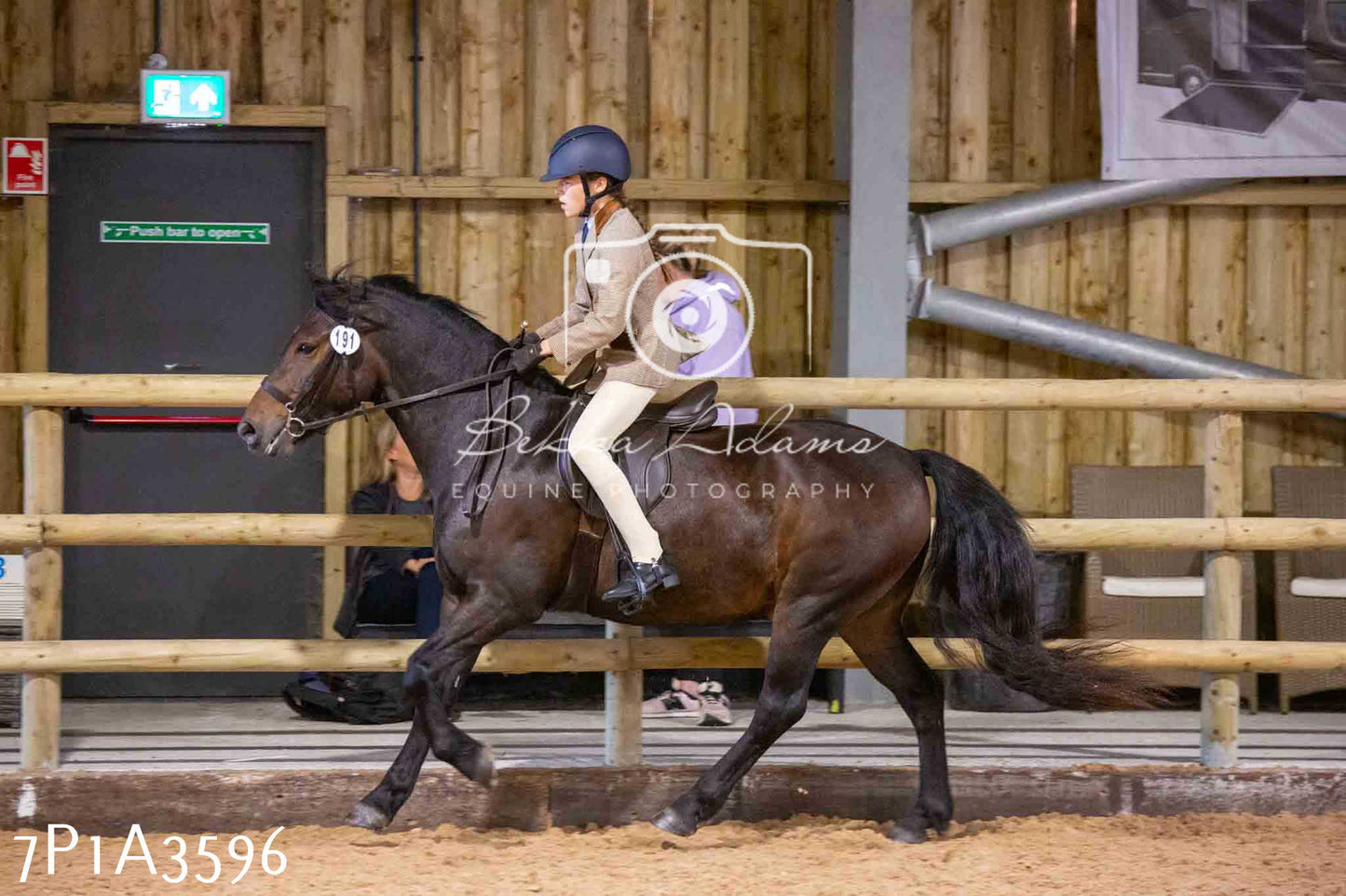 Home Farm Funshine Show 2024 - Ridden Showing 15th September