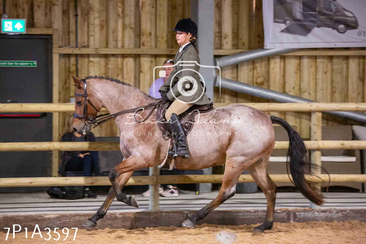 Home Farm Funshine Show 2024 - Ridden Showing 15th September