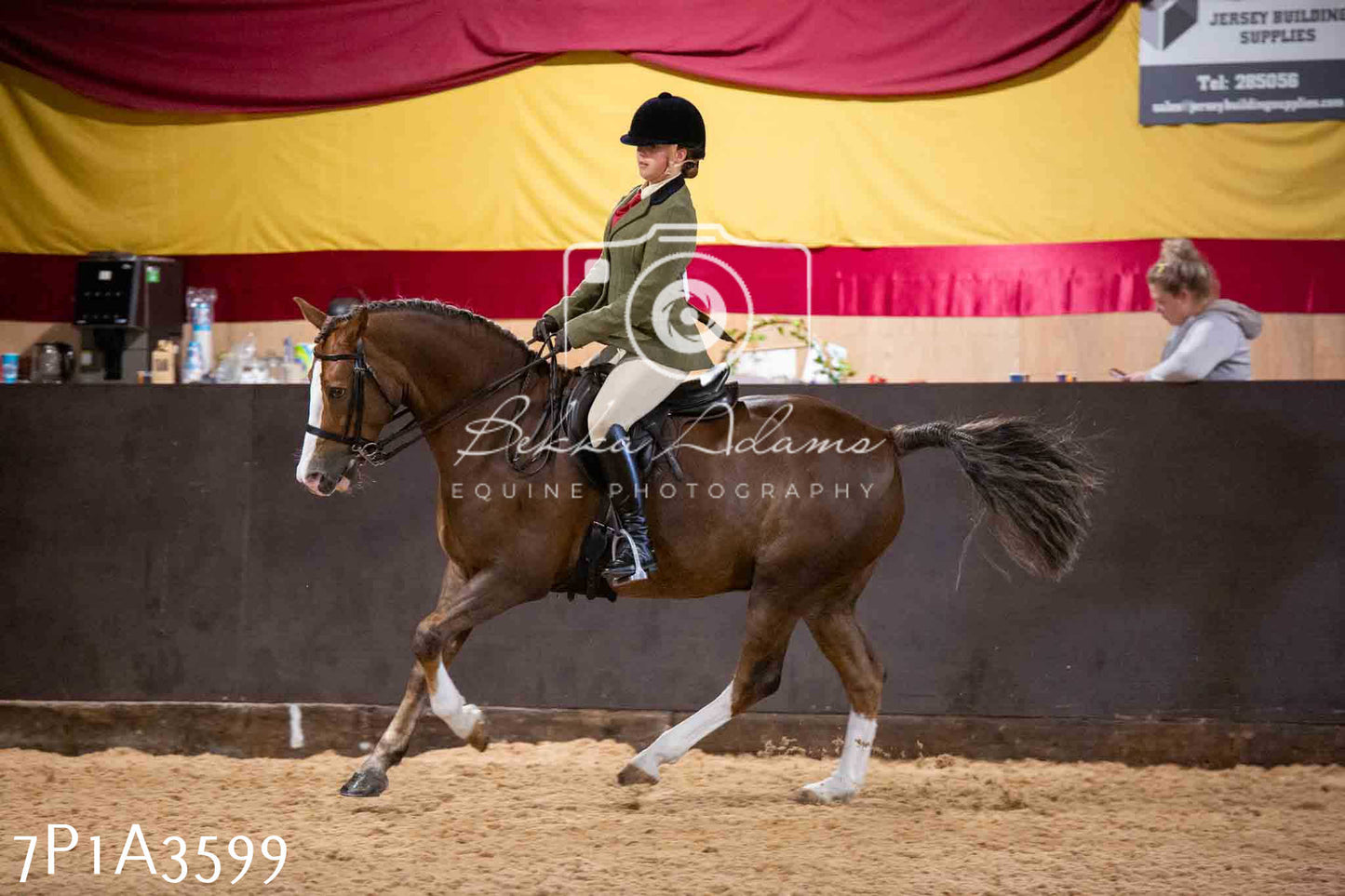 Home Farm Funshine Show 2024 - Ridden Showing 15th September