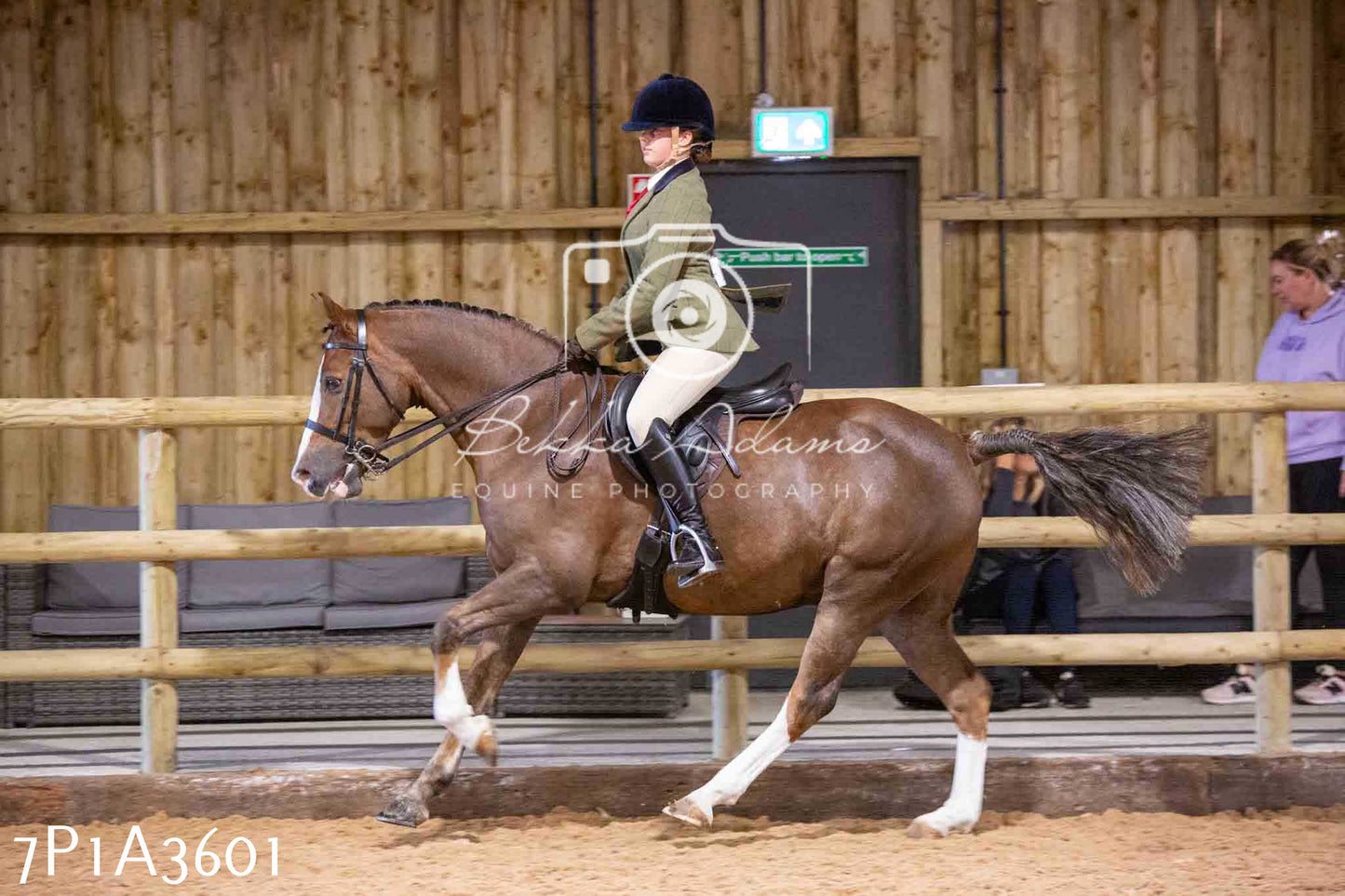 Home Farm Funshine Show 2024 - Ridden Showing 15th September