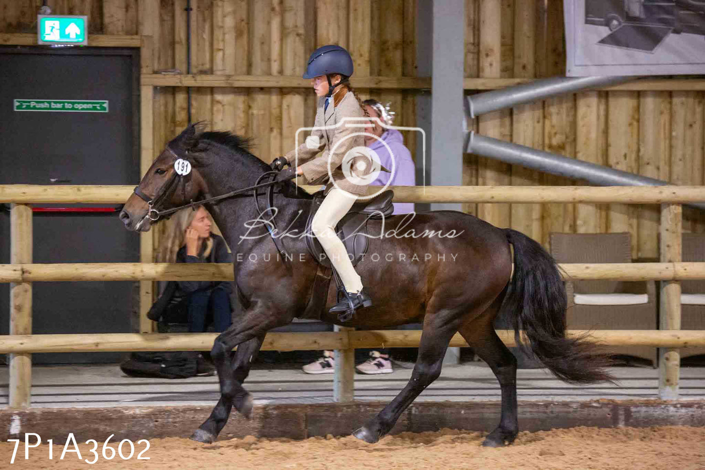 Home Farm Funshine Show 2024 - Ridden Showing 15th September