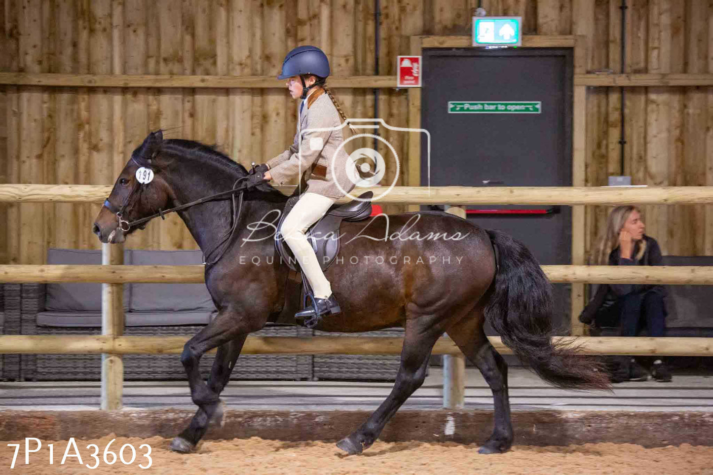 Home Farm Funshine Show 2024 - Ridden Showing 15th September