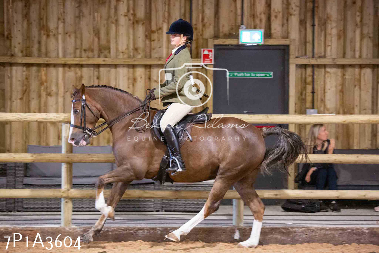 Home Farm Funshine Show 2024 - Ridden Showing 15th September