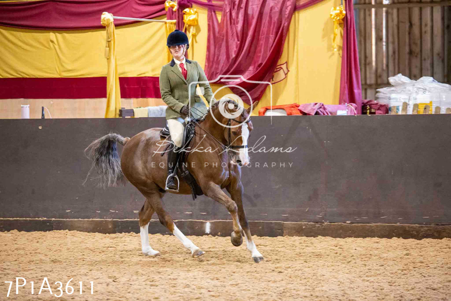 Home Farm Funshine Show 2024 - Ridden Showing 15th September