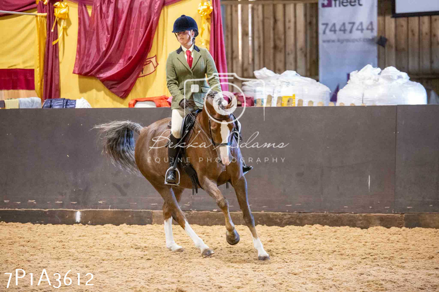 Home Farm Funshine Show 2024 - Ridden Showing 15th September