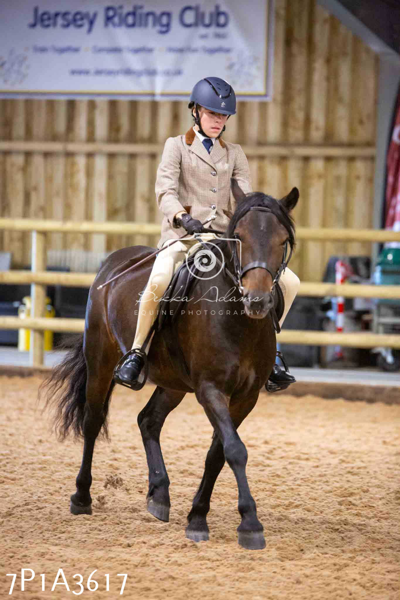 Home Farm Funshine Show 2024 - Ridden Showing 15th September