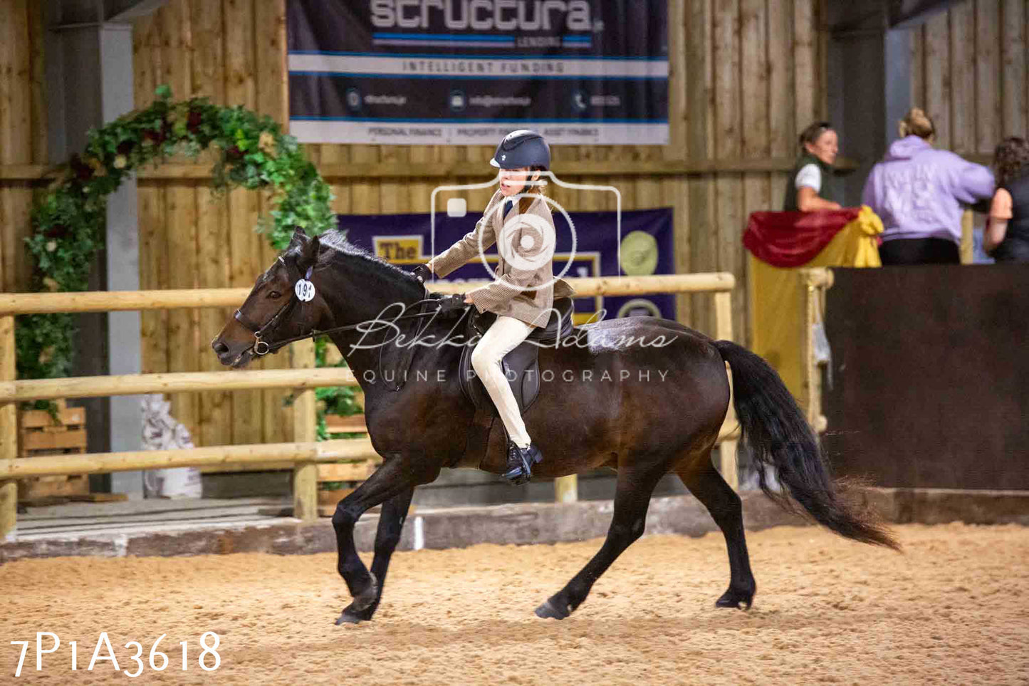 Home Farm Funshine Show 2024 - Ridden Showing 15th September