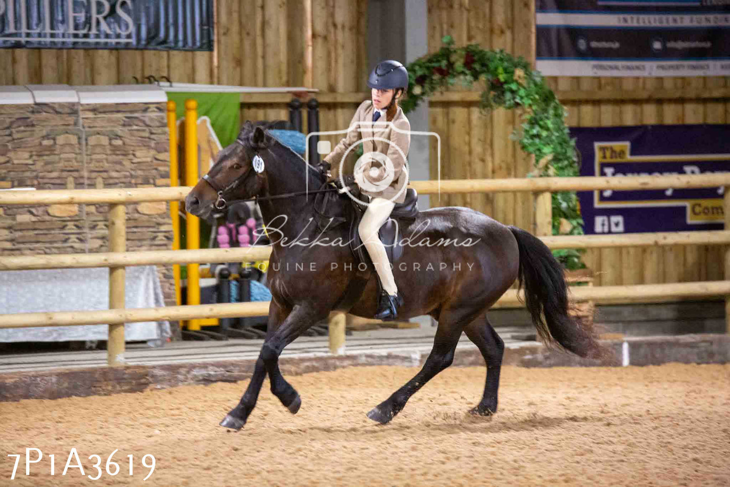 Home Farm Funshine Show 2024 - Ridden Showing 15th September