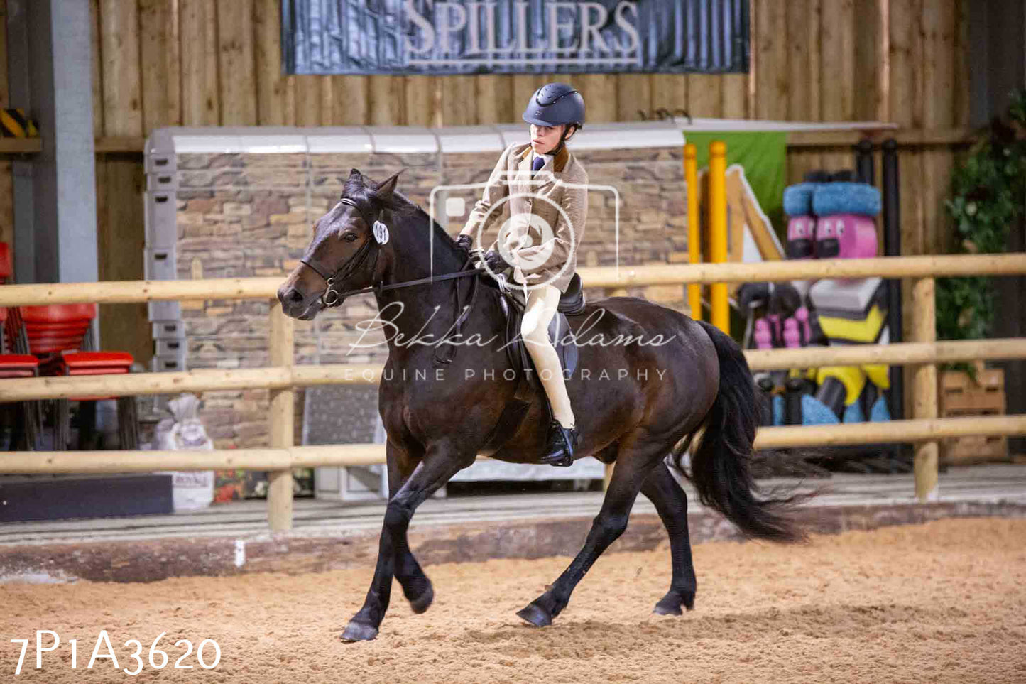 Home Farm Funshine Show 2024 - Ridden Showing 15th September