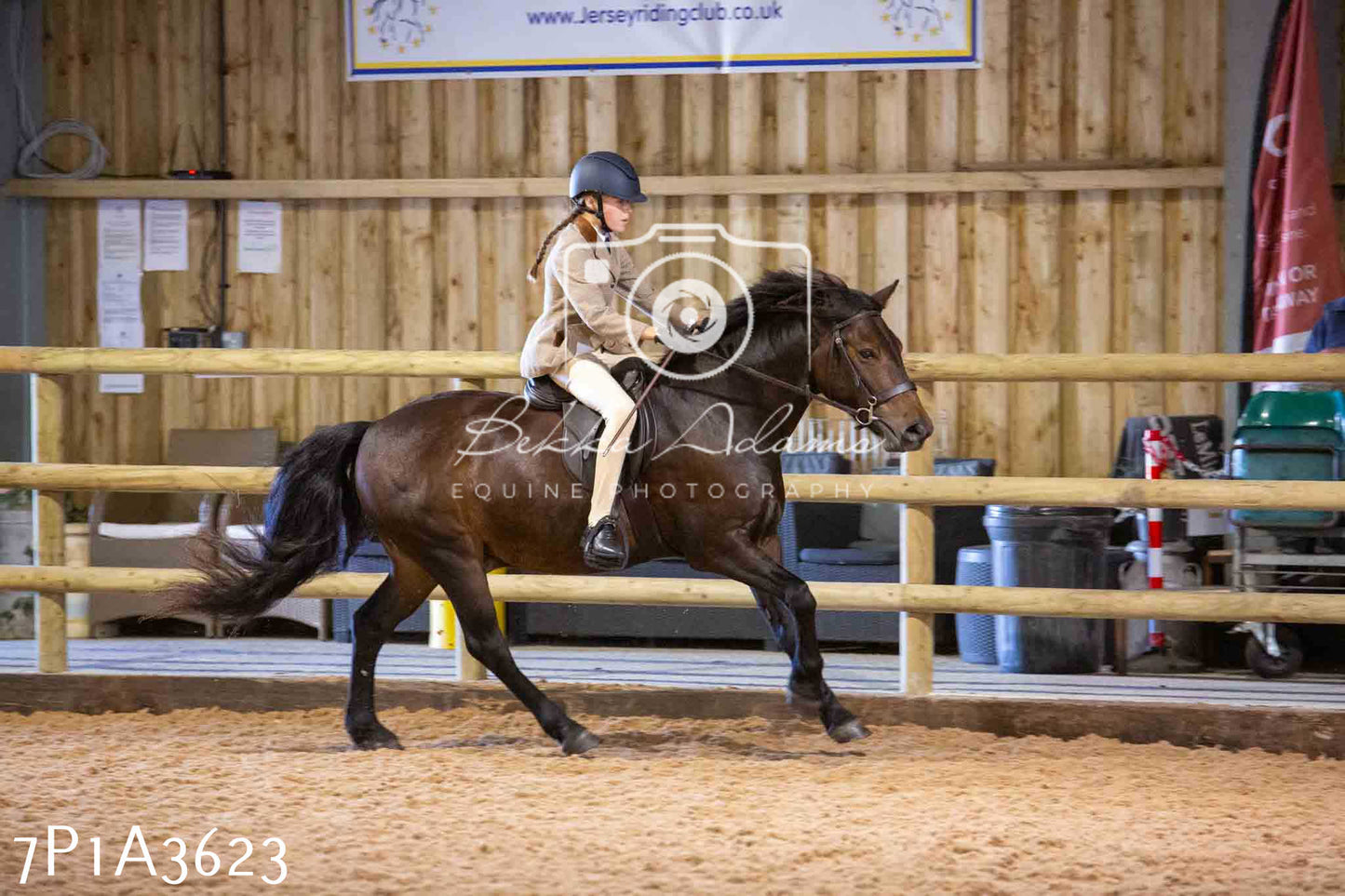 Home Farm Funshine Show 2024 - Ridden Showing 15th September