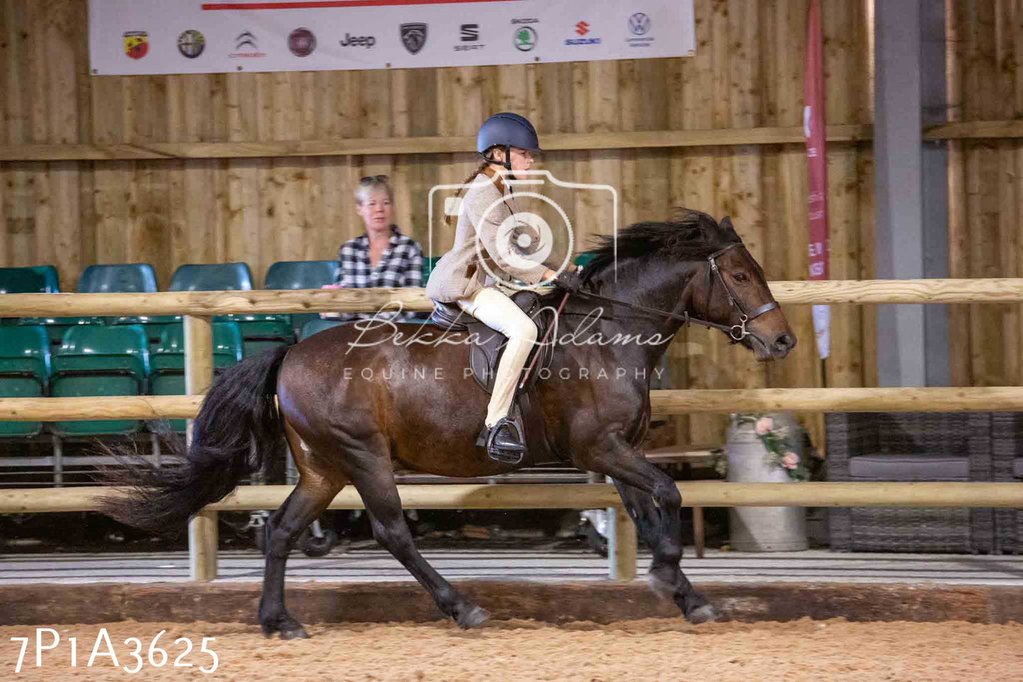 Home Farm Funshine Show 2024 - Ridden Showing 15th September