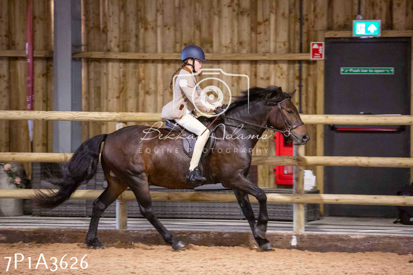 Home Farm Funshine Show 2024 - Ridden Showing 15th September