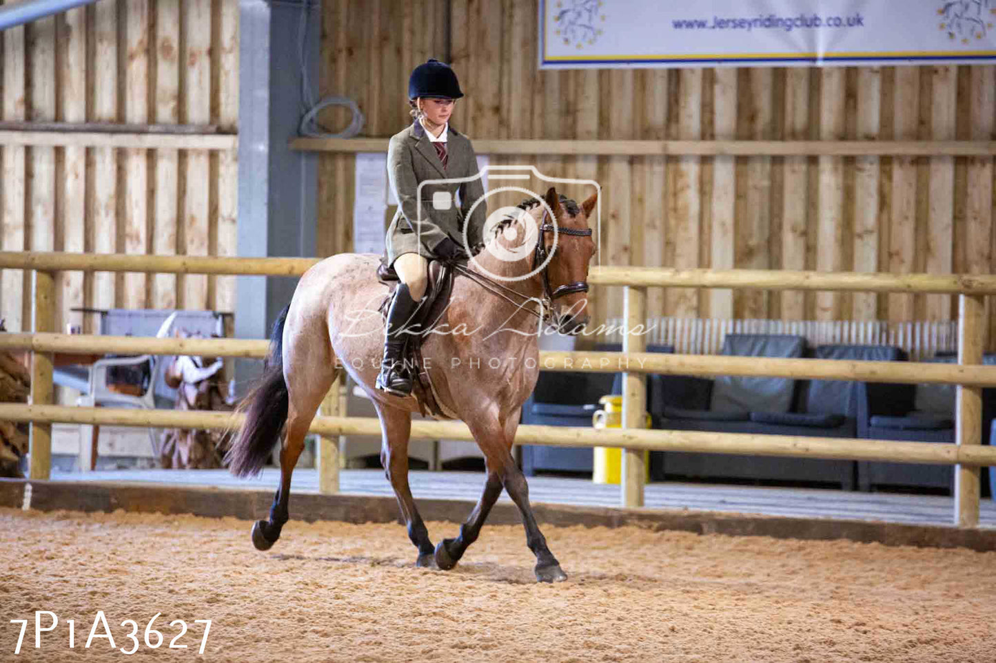 Home Farm Funshine Show 2024 - Ridden Showing 15th September