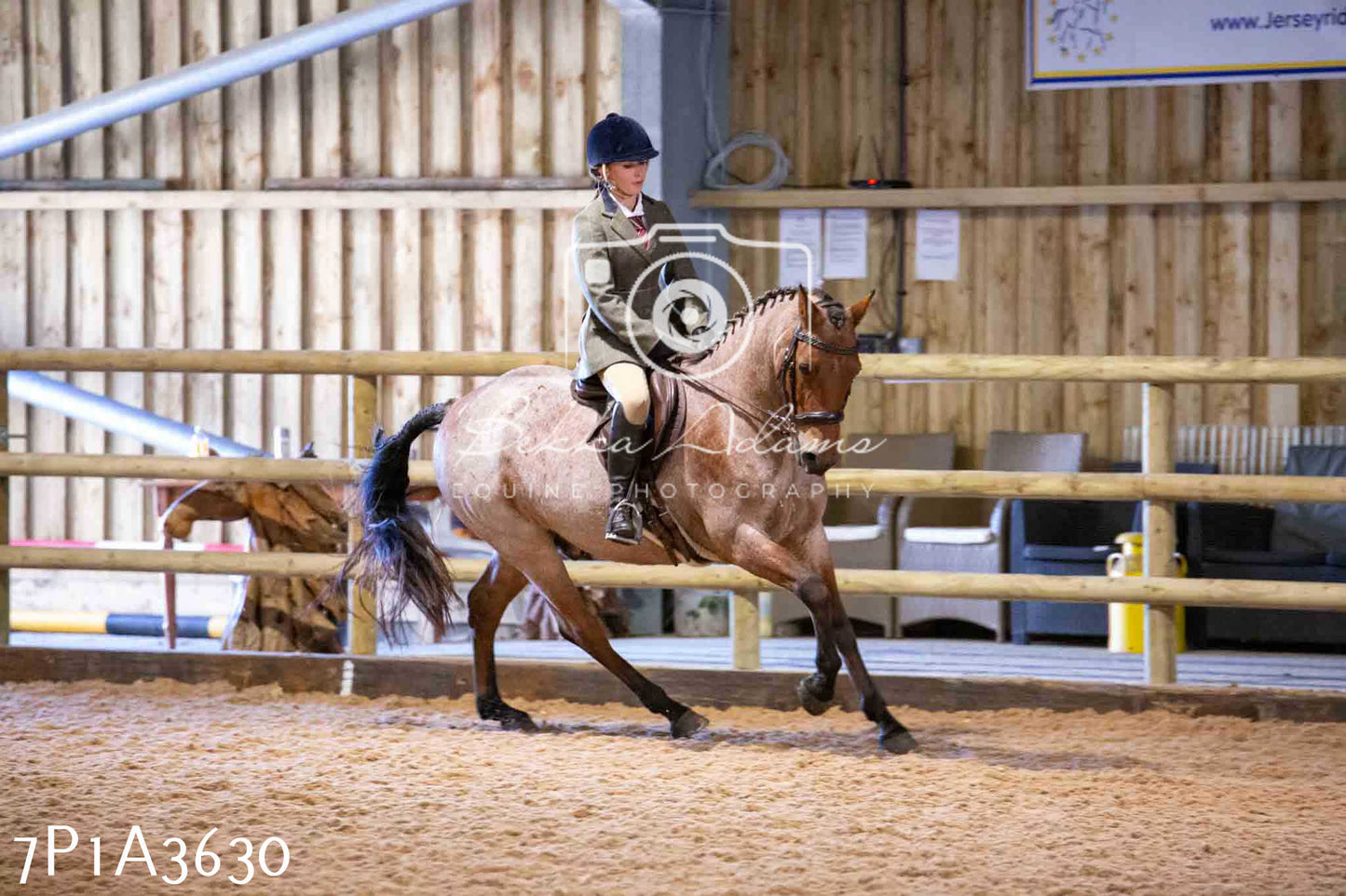 Home Farm Funshine Show 2024 - Ridden Showing 15th September