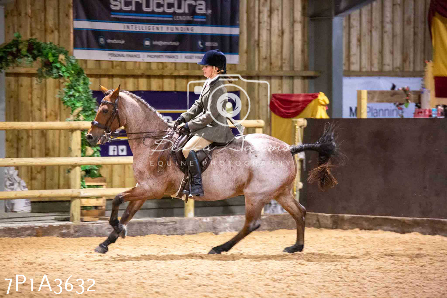 Home Farm Funshine Show 2024 - Ridden Showing 15th September