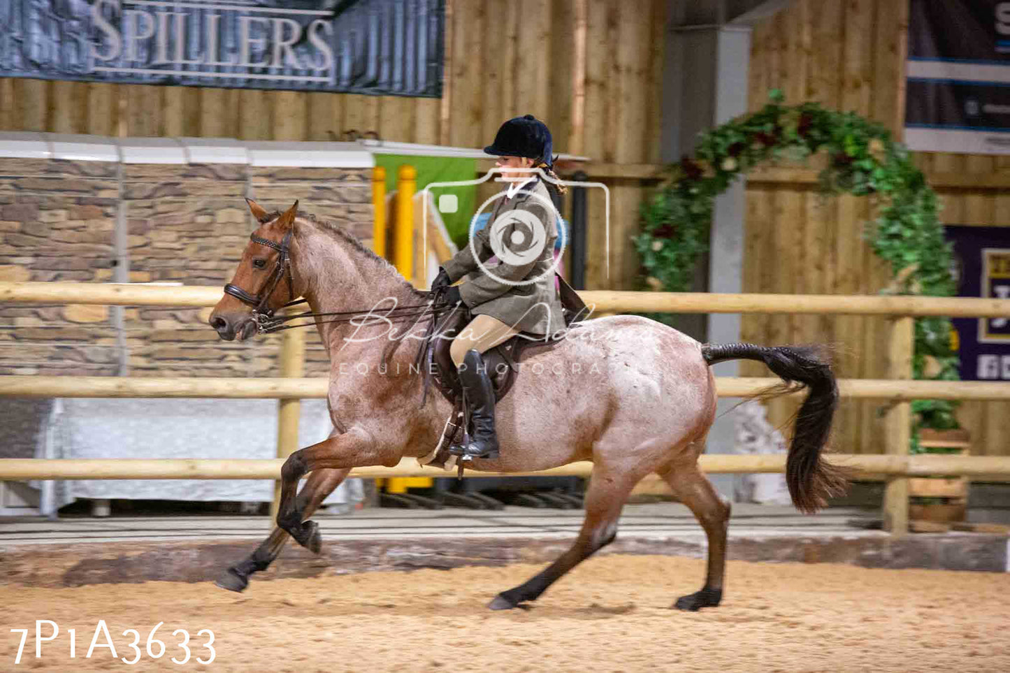 Home Farm Funshine Show 2024 - Ridden Showing 15th September