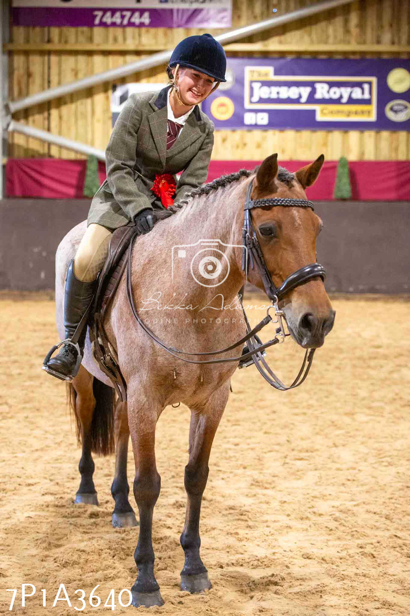 Home Farm Funshine Show 2024 - Ridden Showing 15th September