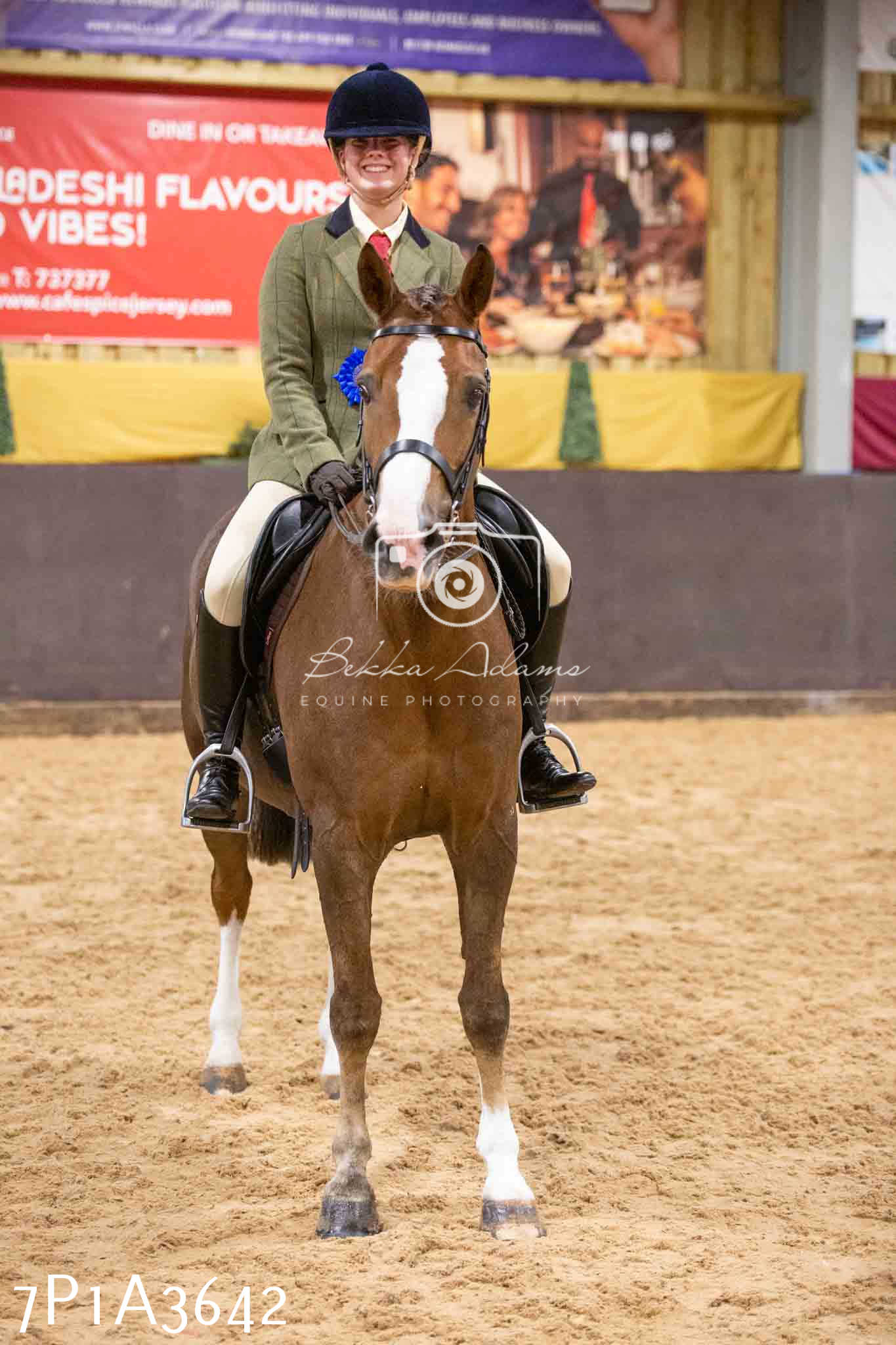 Home Farm Funshine Show 2024 - Ridden Showing 15th September