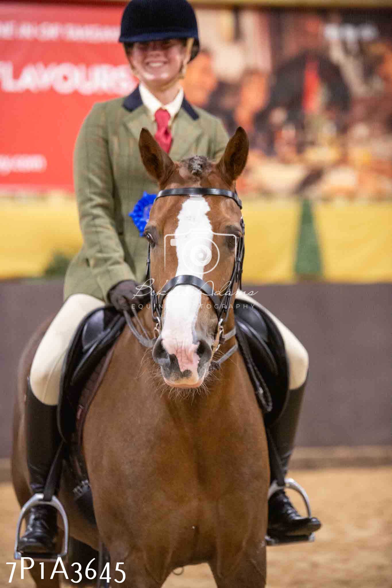 Home Farm Funshine Show 2024 - Ridden Showing 15th September