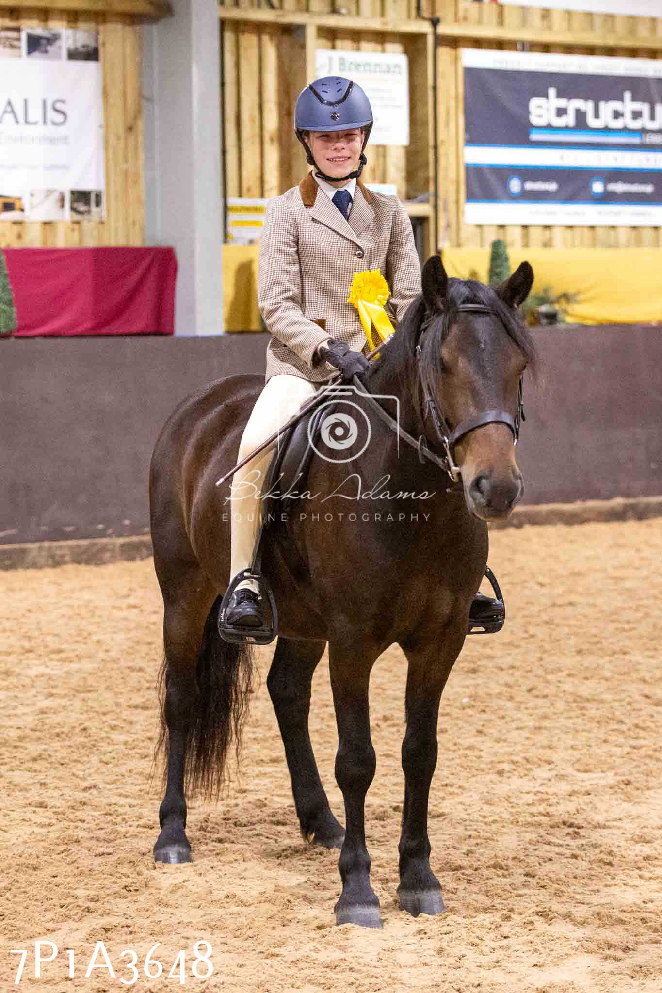 Home Farm Funshine Show 2024 - Ridden Showing 15th September