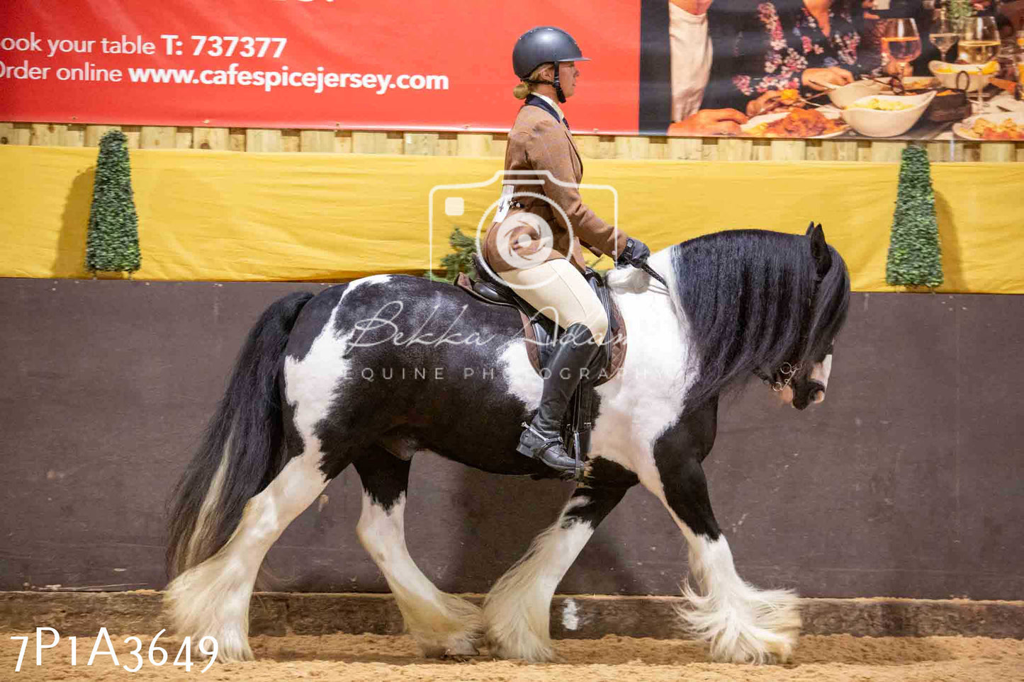 Home Farm Funshine Show 2024 - Ridden Showing 15th September