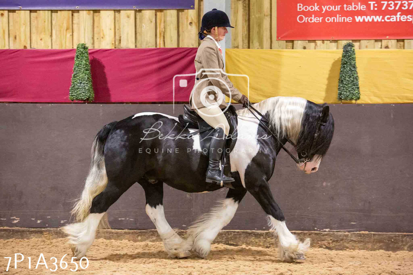 Home Farm Funshine Show 2024 - Ridden Showing 15th September