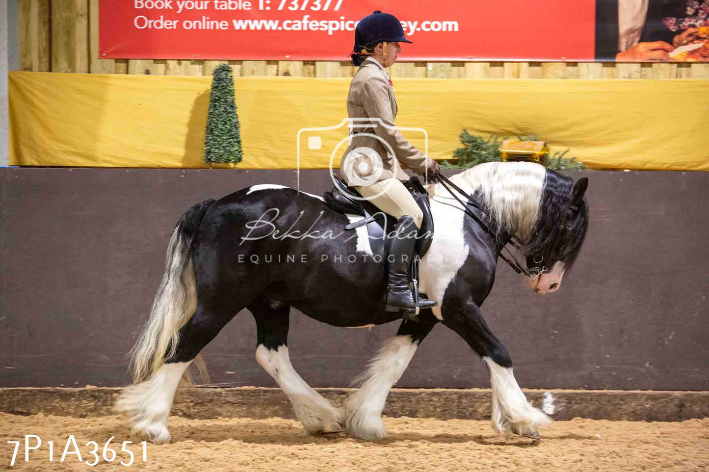 Home Farm Funshine Show 2024 - Ridden Showing 15th September