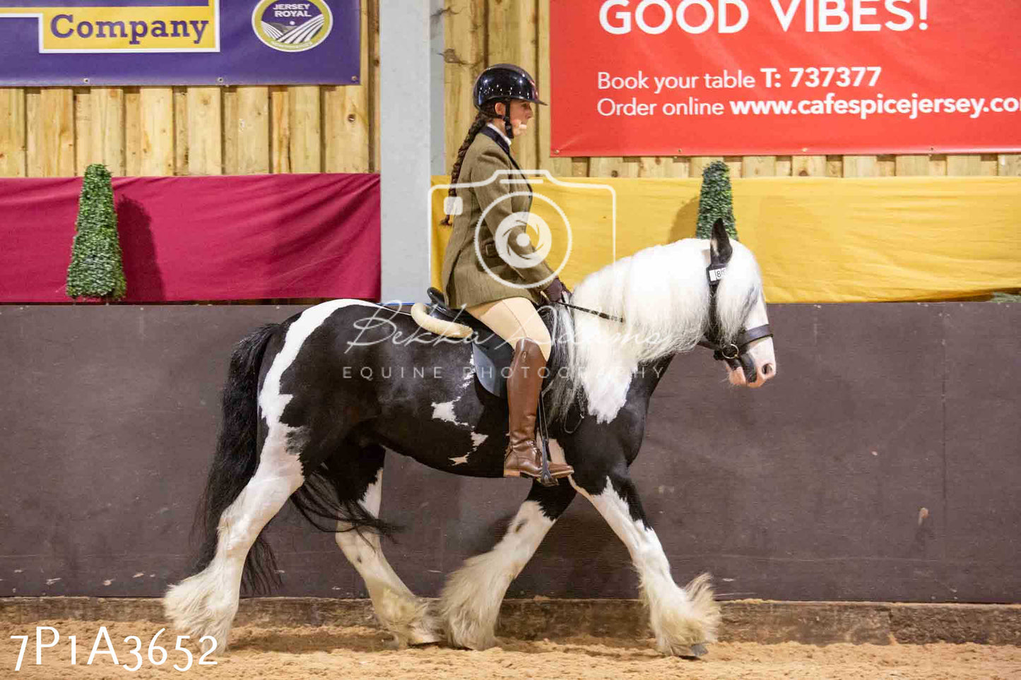 Home Farm Funshine Show 2024 - Ridden Showing 15th September