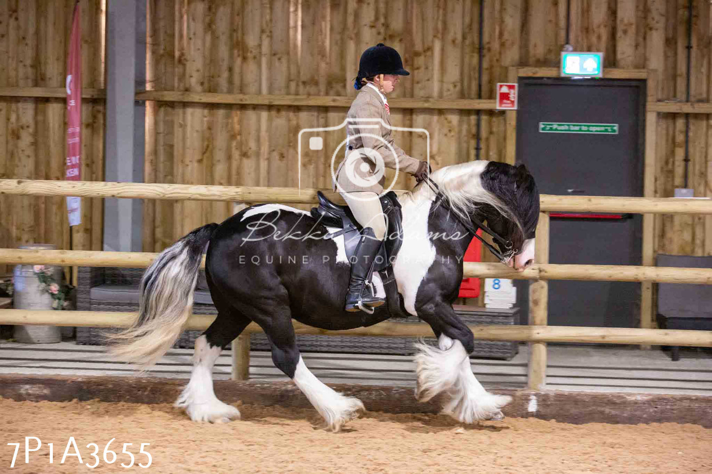 Home Farm Funshine Show 2024 - Ridden Showing 15th September